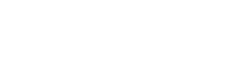 The parallel media logo
